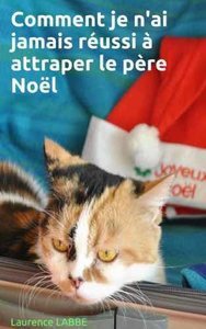 Comment je n'ai jamais réussi à attraper le père Noël