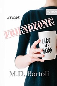 Ebook en promo : projet friendzone